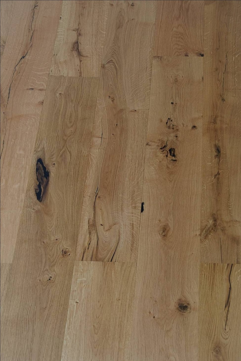 Eiche-Oak-Chêne-Rovere Restposten